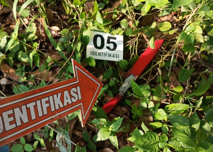 Pria Paruh Baya di Ogan Ilir Ditemukan Gantung Diri, Tinggalkan Surat Wasiat untuk Istri dan Anak