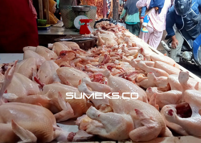 Sembako-Sayur di Palembang Turun, Harga Ayam Naik  