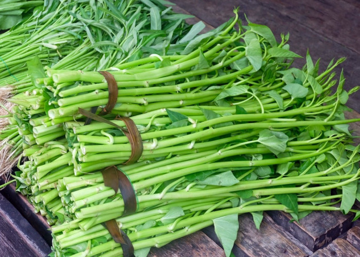 Manfaat Sayur Kangkung yang Belum Anda Ketahui, Miliki Segudang Manfaat Sehat! Ibu Hamil Wajib Tahu