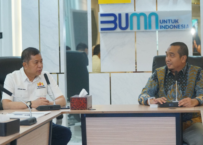 PLN dan Kadin Sumsel Sinergi Dukung KEK Tanjung Carat, Dorong Investasi dan Pertumbuhan Ekonomi