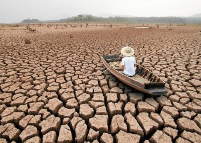 Ilmuwan Beri Sinyal Warning Mega El Nino, Bisa Picu Bencana Kepunahan Massal Bumi