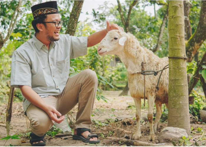 Ingin Berkurban Tiap Tahun? Ini Tips Mengatur Keuangan dan Tabungan Kurban