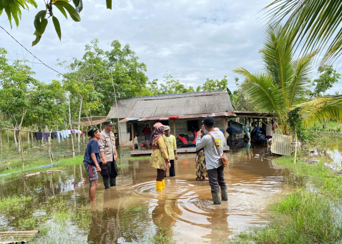 2 Desa di Kecamatan Sungai Menang OKI Terendam Banjir