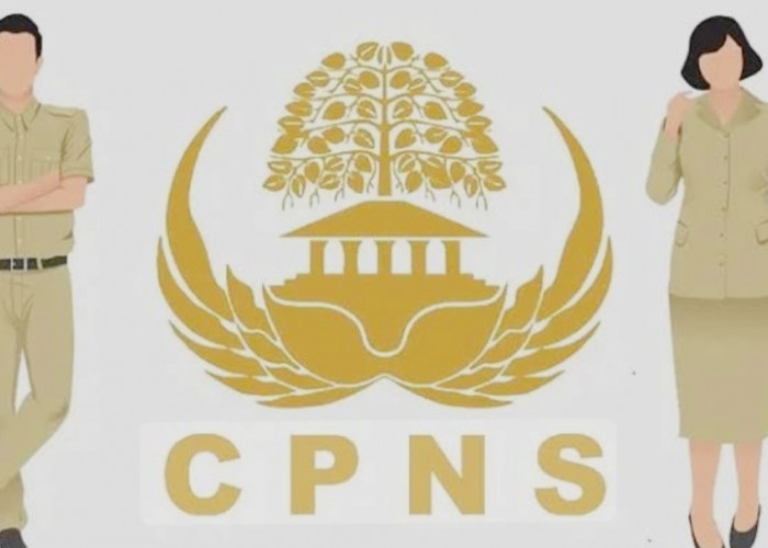 Penerimaan CPNS Dibuka Mulai 20 Agustus Hingga 6 September 2024, Yuk Siapkan Persyaratannya! 