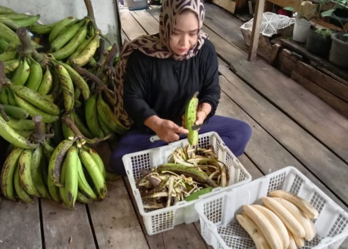 7 Tips Memulai Bisnis Keripik Pisang Lampung Aneka Rasa dari Rumah, Modal Terjangkau untuk Pemula