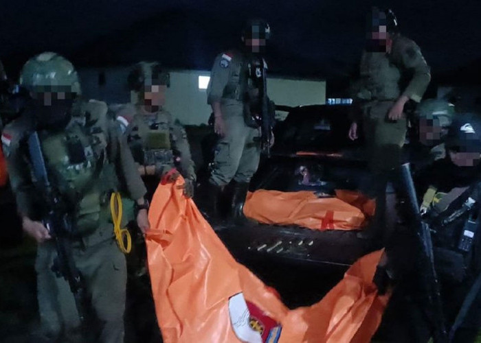 Ini Kronologi Kontak Tembak Tim Gabungan TNI-Polri dengan KKB yang Menewaskan 4 Anggota Kriminal