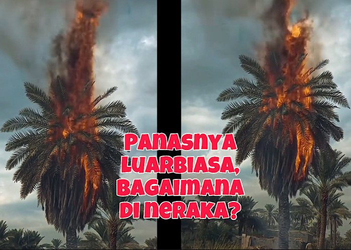 Fenomena Aneh Pohon-pohon Kurma Terbakar Sendiri di Arab, Pertanda Apa Ini?   