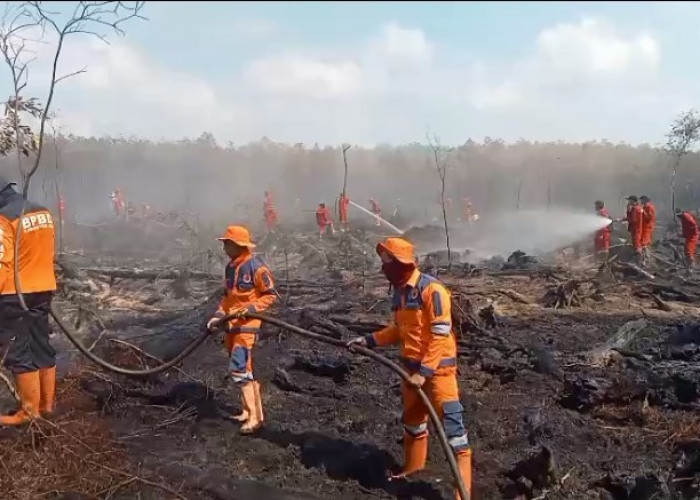 Ancaman Kabut Asap di Sumsel Makin Serius, BPBD Sumsel Laporkan 49 Titik Hotspot