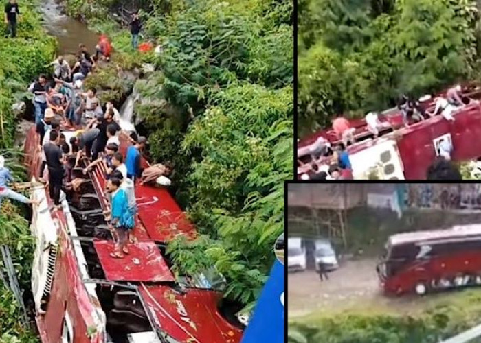 UPDATE NEWS, Korban Bus Wisata Masuk Jurang di Guci Tegal, Satu Meninggal dan 36 Dirawat Luka Ringan dan Berat
