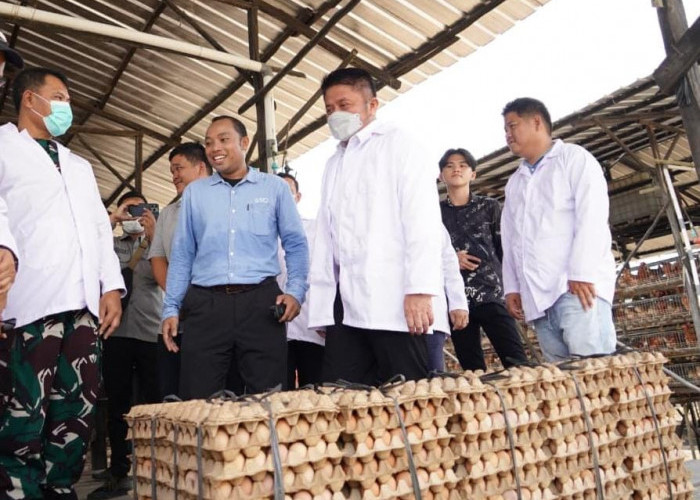 Gubernur Herman Deru Dorong Sertifikasi Peternak untuk Tingkatkan Daya Saing Telur Sumsel