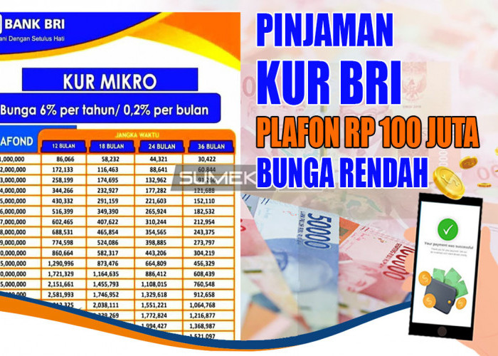 Rp100 Juta Cair! Ajukan Segera KUR BRI 2024 Tanpa Jaminan Cuma Pakai Data Ini