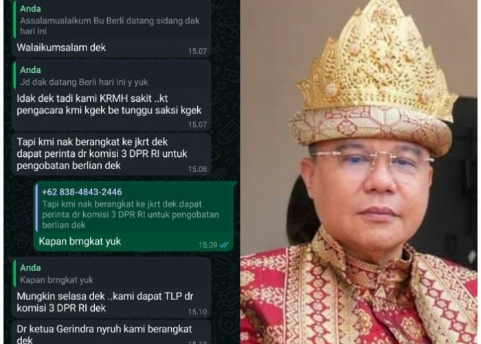 Alhamdulillah, Wakil Ketua DPR RI Sufmi Dasco Bakal Bantu Biaya Pengobatan Korban Malapraktik Oknum Bidan 