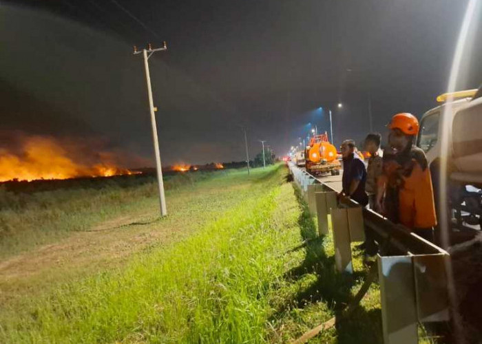10 Hektare Lahan di Ogan Ilir Terbakar dalam Waktu Lebih Kurang 11 Jam