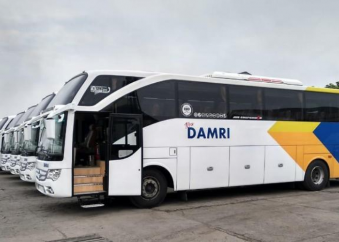 DAMRI Palembang Tawarkan Layanan Angkutan Bus Terbaik ke Pemkot, Wawako Prima Salam: Sambut Baik!