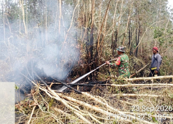 Gerak Cepat Babinsa Tulung Selapan Padamkan Karhutla 30 Hektar di Pulau Beruang 
