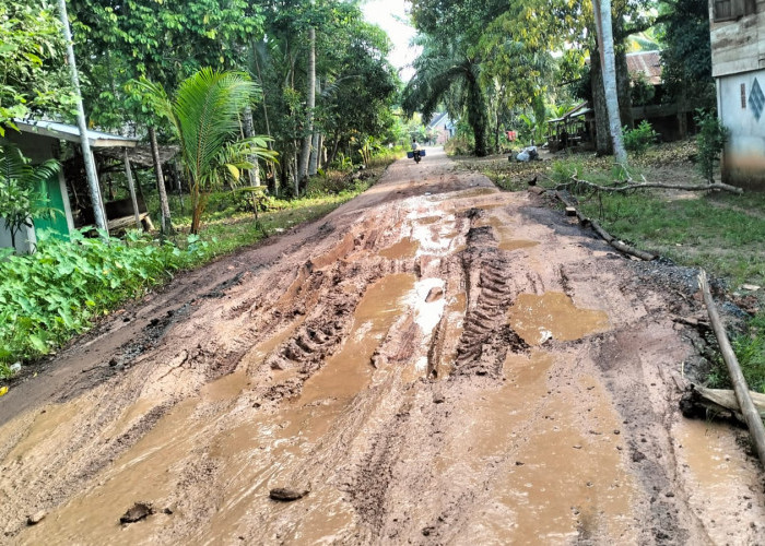 Jalan Rusak Milik Kabupaten di Kotadaro 2 Ogan Ilir Sulitkan Warga Beraktivitas, Berharap Segera Diperbaiki