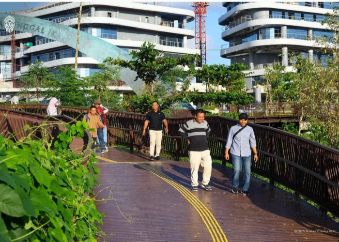 Tanaman Merambat di IKN, Sentuhan Alam yang Ciptakan Nuansa Natural dan Asri