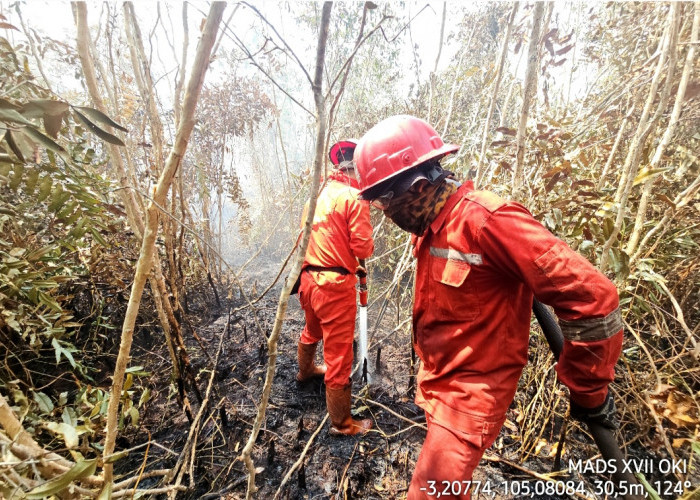 Kesigapan RPK PT Persada Sawit Mas Bantu Pemadaman Karhutla di Lahan Masyarakat di OKI