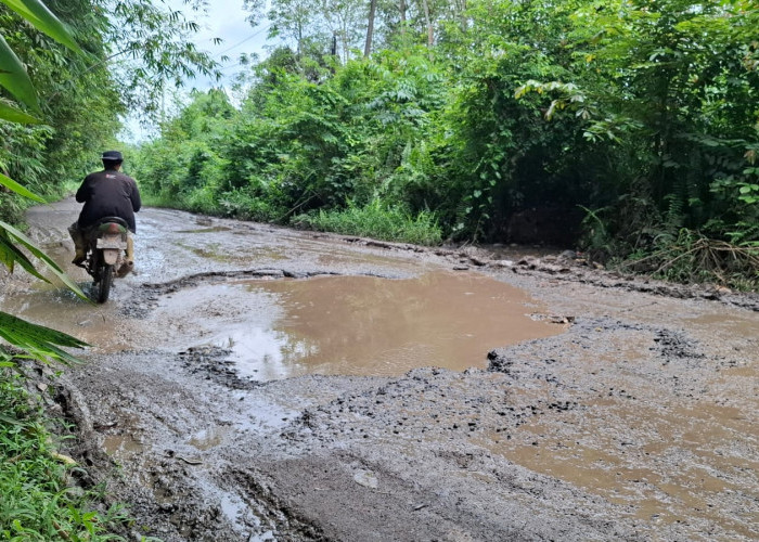 Jalan Tanjung Batu-Payaraman Ogan Ilir Kini Layaknya Kubangan, Warga Keluhkan Sering Rusak Onderdil Kendaraan