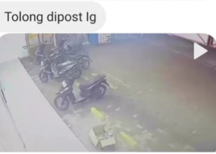 Motor Pegawai Minimarket di Palembang Raib, Video Pelaku Saat Beraksi Tersebar Luas di Sosial Media 