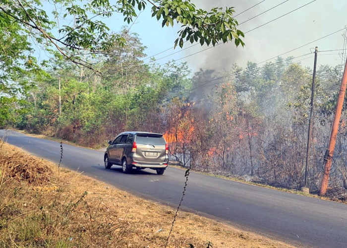 Lahan Kosong di Jalan Lintas Martapura-Belitang Terbakar, Warga Khawatir Api Melalap Kebun Karet