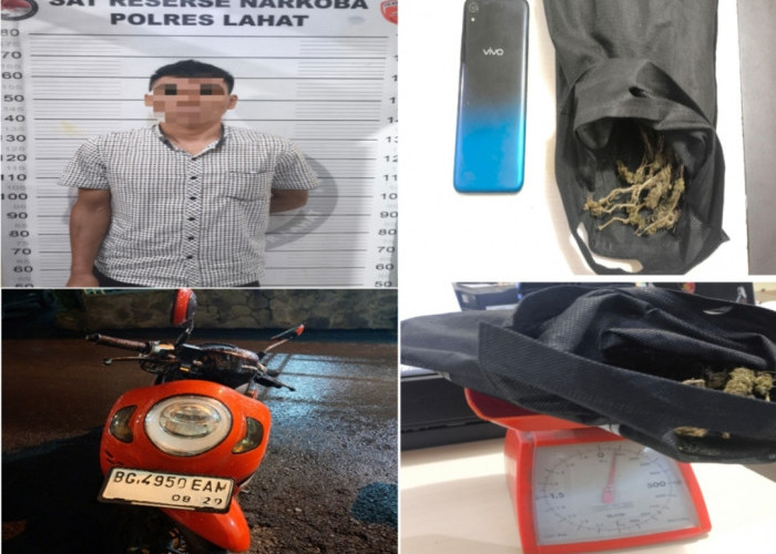 Pengedar Ganja di Lahat Selatan Diringkus, Barang Bukti Diamankan, Pemasok Masih DIburu