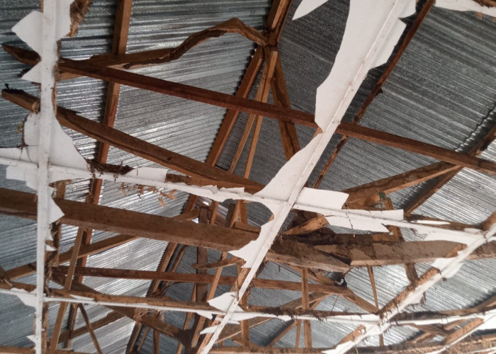 Ancam Keselamatan Siswa, Plafon Sekolah SDN 2 Sungai Menang OKI Rusak Parah