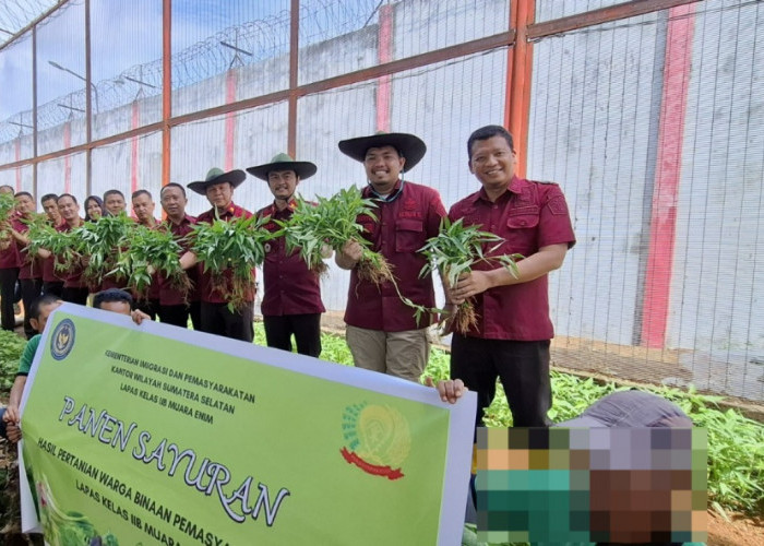 Lapas Kelas IIB Muara Enim Sukses Panen Kangkung, Dukung Program Ketahanan Pangan