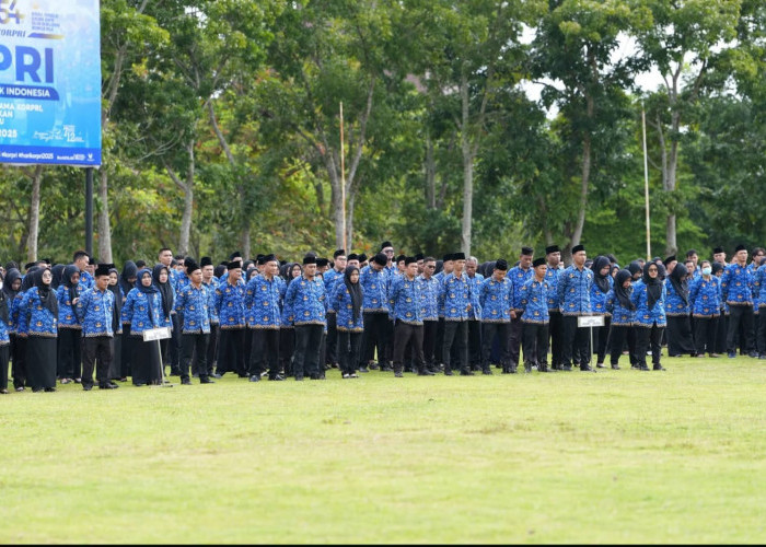 PPPK Pemkab Banyuasin Gigit Jari, TPP Tahun 2026 Dihapus