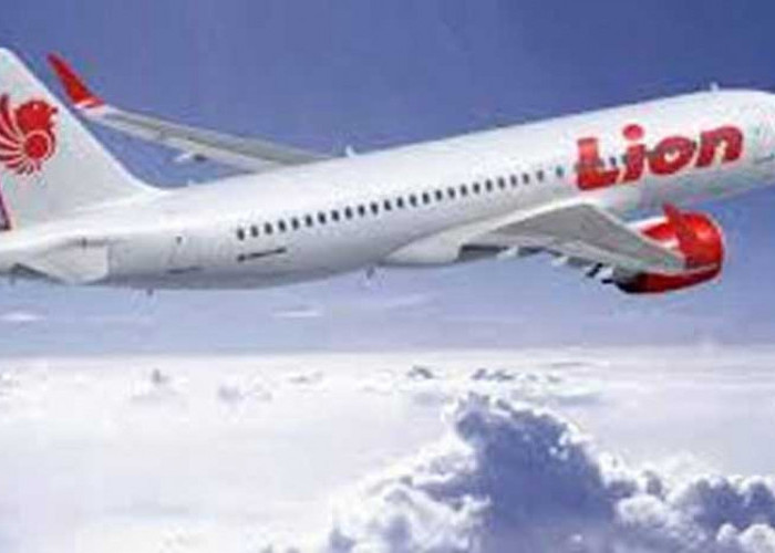 Insiden Lion Air JT330, Penumpang Lihat Sayap Kiri Mengeluarkan Api