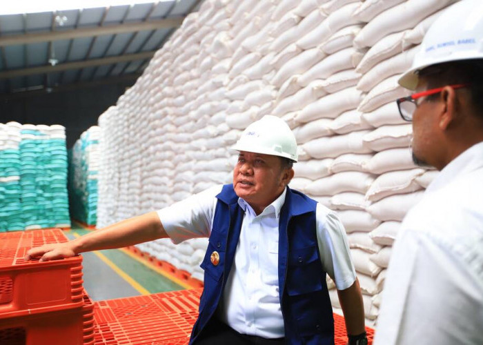 Gubernur Sumsel Minta Masyarakat Tidak Panic Buying, Pastikan Stok Beras Aman hingga 10 Bulan