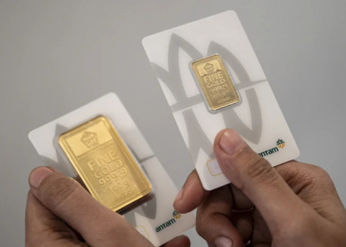 Harga Emas Antam Hari Ini, Rabu 19 Agustus 2026 Anjlok Rp50 Ribu, Buyback Ikut Tertekan