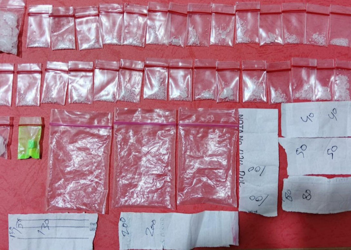 Pengedar di Desa Pedu Simpan 33 Paket Sabu Berlabel Harga, Polisi Temukan Pecahan Ekstasi ⠀