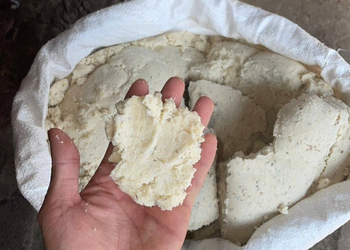 6 Bahan yang Bisa Disulap Jadi Pakan Ikan Lele: Cara Membuat Mudah dan Biaya Murah!