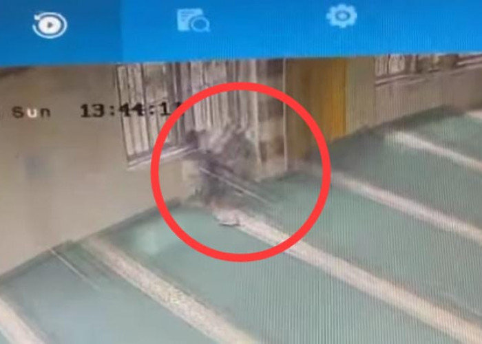 Terekam CCTV Curi Kotak Amal Mushola, Anak Bawah Umur di Palembang Nyaris Diamuk Massa, Dikembalikan ke Ortu 