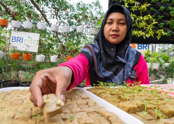 BRI Raih Penghargaan Sustainable Impact Berkat Program BRInita