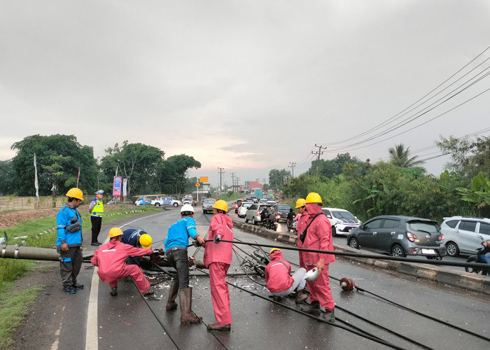 Langkah Cepat PLN Pulihkan Pasokan Listrik di Palembang-Indralaya Pasca Tiang Listrik Roboh Tertabrak Mobil