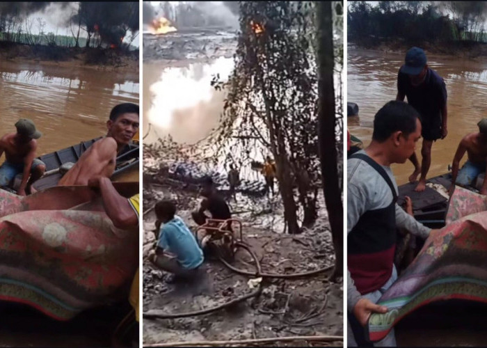 Detik-Detik Pemeras di Sungai Dawas Tewas Diterkam Buaya Saat Seberangi Sungai Demi Minyak Ilegal 