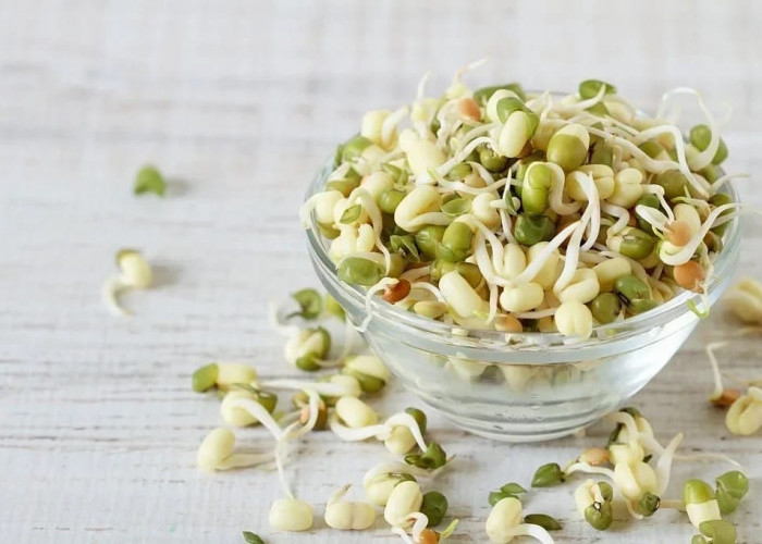 Cara Menanam Tauge dari Kacang Hijau, Bisa Hemat Uang Belanja