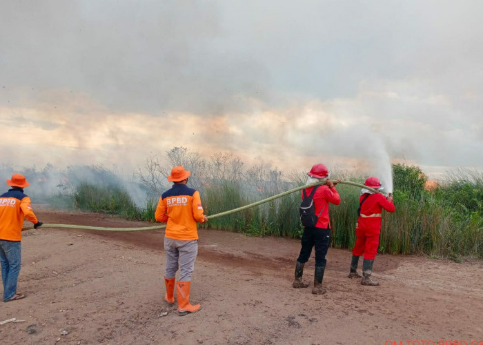 3 Hektar Lahan Gambut di Pampangan OKI yang Terbakar Ternyata Konsesi PT WAJ, Penyebab Masih Selidiki