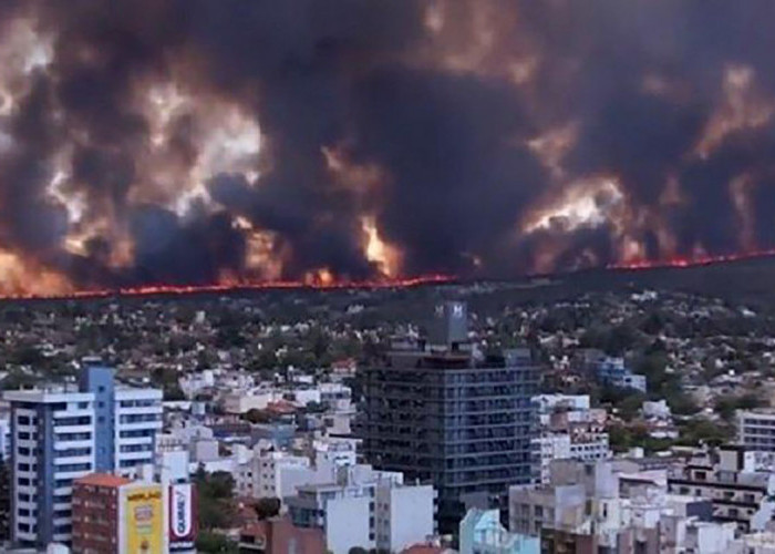 Nyalakan Api Unggun untuk Bikin Kopi, Kebakaran Mengerikan Landa Hutan di Cordoba Argentina