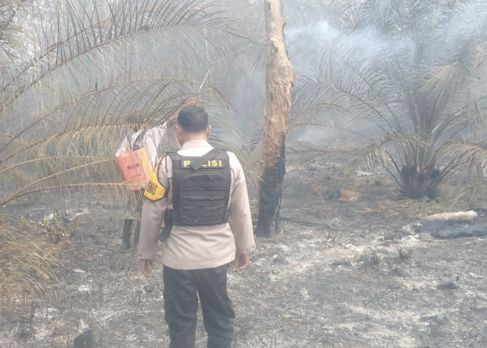 Selama 2 Hari, Puluhan Hektare Kebun Sawit dan Karet Milik Warga Prabumulih Terbakar