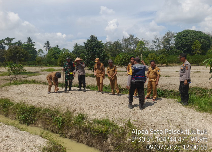 Tanam Jagung di Kecamatan Tanjung Lubuk OKI Tumpang Sari Kebun Durian, Dukung Ketahanan Pangan