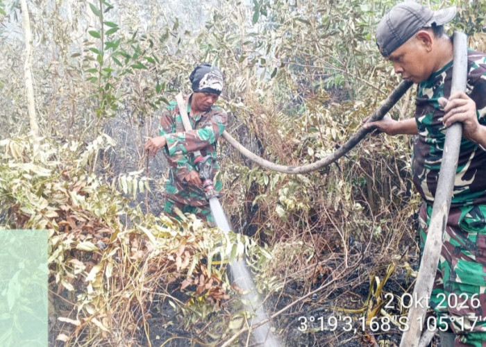 Lahan di Desa Pulau Beruang OKI Kembali Terbakar, Babinsa dan Tim Gabungan Bergerak Cepat Padamkan