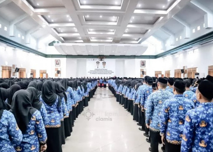 Wajib Tahu! Satu Kesalahan Ini Bisa Gagalkan Pengangkatan PPPK Tenaga Honorer