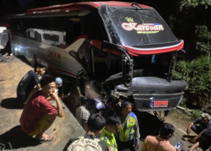 Bus MPM Tabrak Truk Trailer Di Desa Pulau Harapan, Banyuasin: Sopir Terjepit 