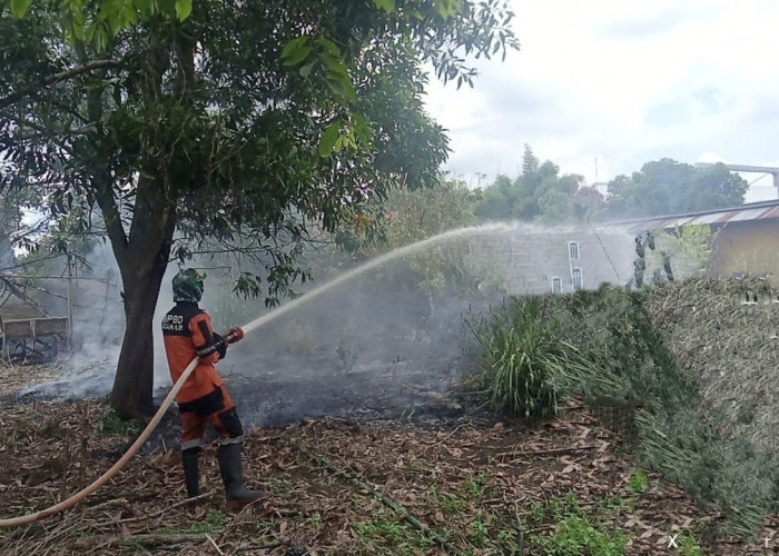  6 Lokasi Kebakaran, Sudah 9,5 Hektare Lahan Kosong di Ogan Ilir Terbakar