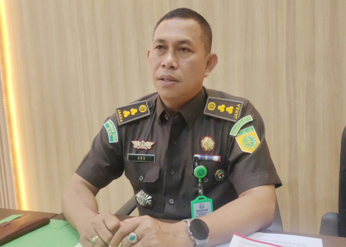 Nah Loh, DPO Selebgram Palembang Alnaura Berstatus 'Red Notice', Kini Dalam Pengejaran Pihak Interpol