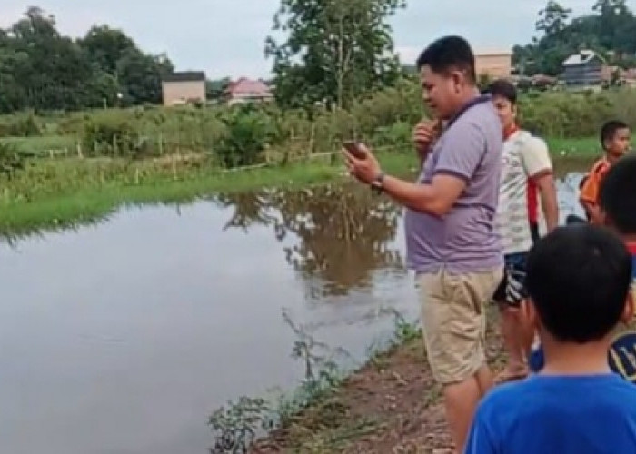 Buaya Ukuran Besar Muncul di Sungai, Warga Pampangan OKI Resah 