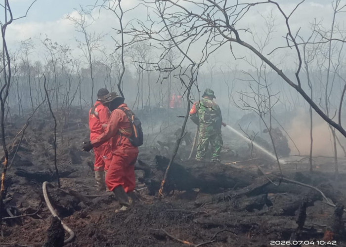 Gambut di Kabupaten OKI Sebagian Besar Tinggi Muka Air Tanahnya Turun